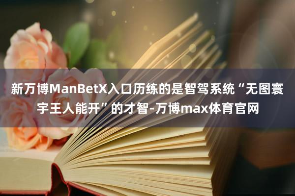 新万博ManBetX入口历练的是智驾系统“无图寰宇王人能开”的才智-万博max体育官网