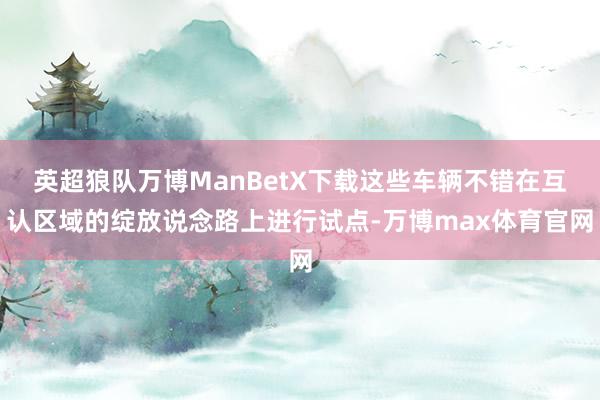 英超狼队万博ManBetX下载这些车辆不错在互认区域的绽放说念路上进行试点-万博max体育官网